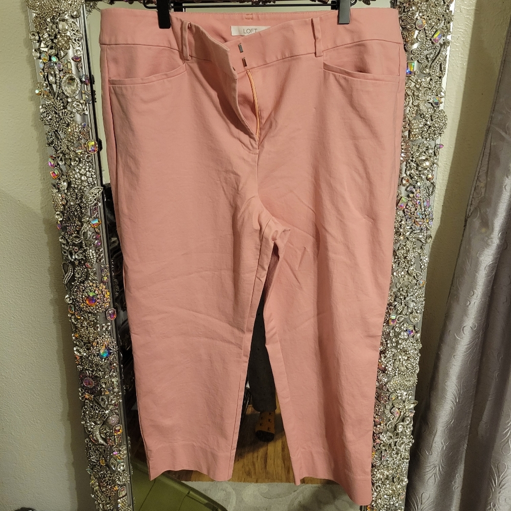 Ann Taylor Loft Pants